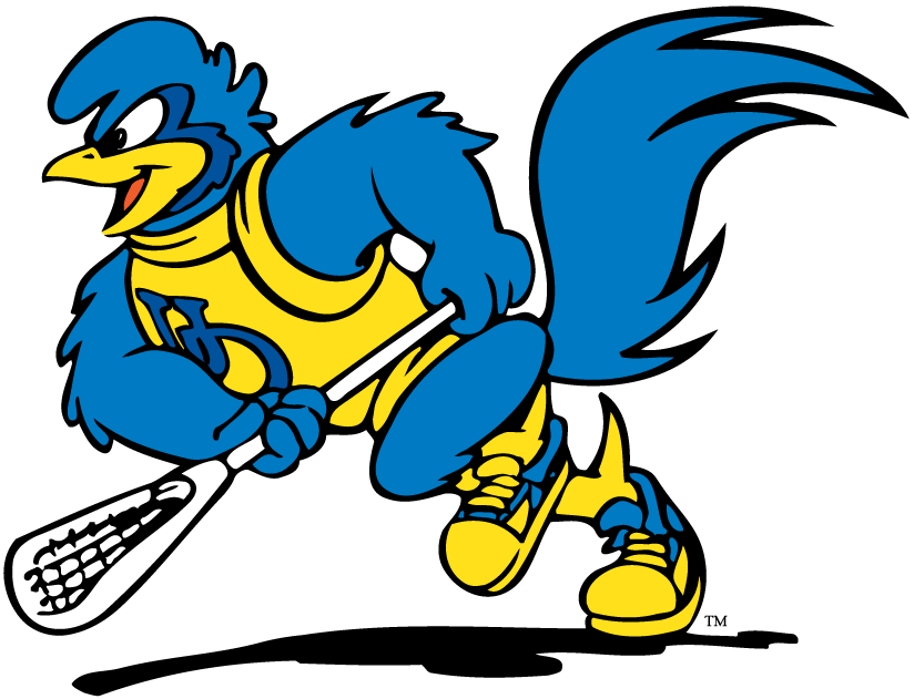delaware blue hens 1993-pres mascot Logo v4 iron on transfers for fabric